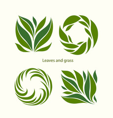 Set Grass and Leaves Label abstract design. Square and Round icon. Beautiful Logo Garden Company.