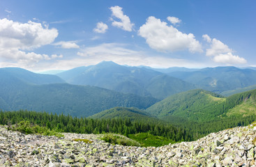 Mountain ranges covered with spruce forests in Carpathian Mountains