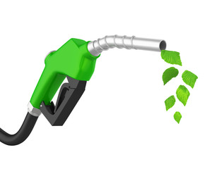Gas Pump Nozzle with Leaf Isolated