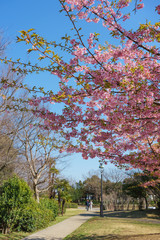 葛西臨海公園