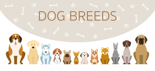Group of Dog Breeds Illustration, Front View in a Row with Background, Pet