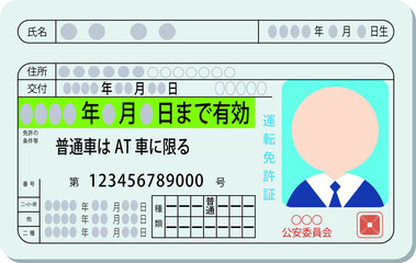 Japanese Beginner Driver's License