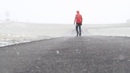 Person mit roter Jacke von hinten im Schneesturm, Schneefall