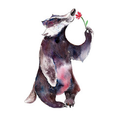 Badger with flower, watercolor hand-drawn animal illustation. Isolated object  on white background. - 196977608