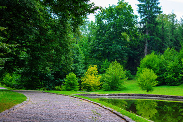Obraz premium Photo of stone road near the lake in green park at summer