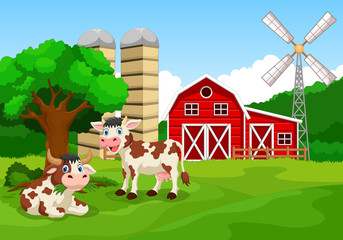 Obraz na płótnie Canvas Funny caws with farm background