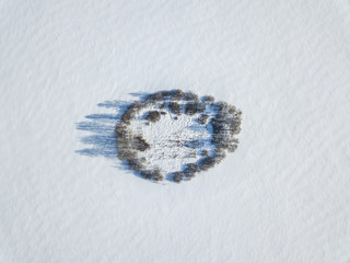 Plot with trees on a snow-covered field. Aerial view winter landscape.