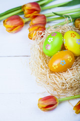 Easter eggs  in the nest and tulips
