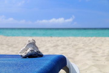 Fototapeta na wymiar Sea coral lies on a deckchair on a sandy beach on the ocean shore
