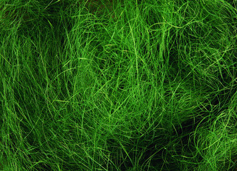 Texture made of fine green threads