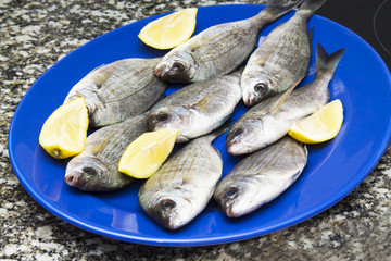 fish dish with lemon, golden fish