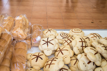 toast bread cute turtle shape