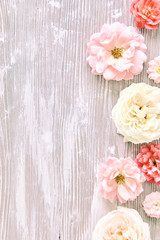 Rose flowers on pink wooden surface
