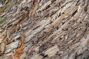 Abstract rugged wooden background
