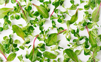 Salad leaves Valerianella on white background. View from above.