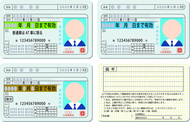 Japanese Driver's License Set