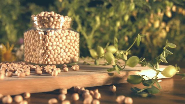 Still life with chickpeas.
The glide of the camera ( from right to left ) along the table with a chickpeas.
A bush chickpeas are grow in the background.