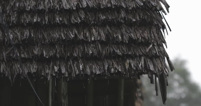 straw roof or thatch during rain, drops falling down, tropicalsummer