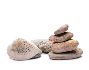 Fototapeta na wymiar Sea stones and shells isolated on white background