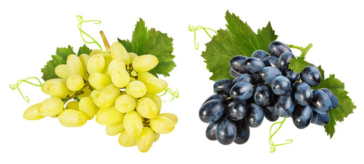 Fresh grapes isolated on white background with clipping pass