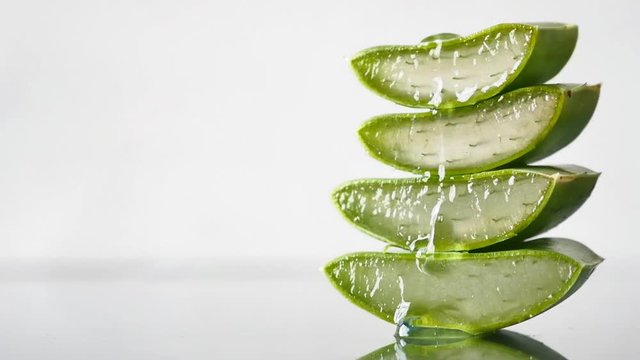 Aloe Vera leaves. Aloe Vera gel is very useful herbal medicine for skin care