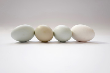 Row of four light coloured eggs