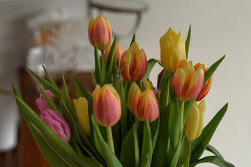 bouquet of tulips