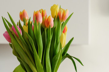 bouquet of tulips