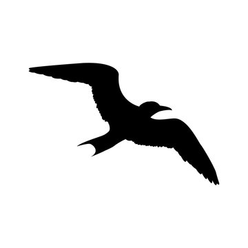 Icono plano silueta gaviota en color negro