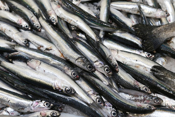 Peces en la pescadería