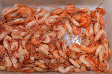 Peces en la pescadería