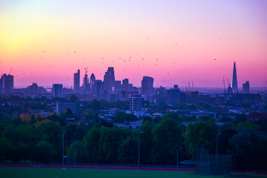 View Towards London City Skyline With Bird Flocking At Sunrise From Parliament Hill At Hampstead Heath