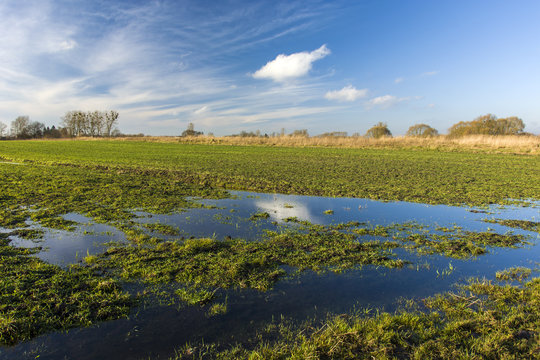 Springtime view - water on the field and blue sky