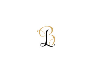 LB BL Letter Logo Icon 4.1