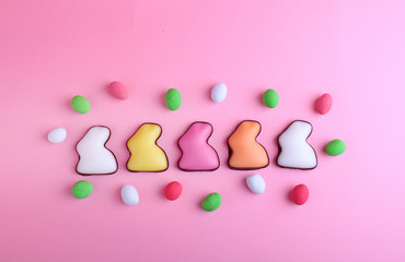 Sweets for celebrate Easter. Candies in shape of easter bunny and chocolate egg.