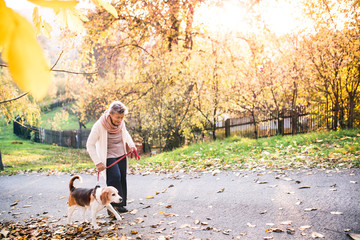 An elderly woman with dog on a walk in autumn nature.