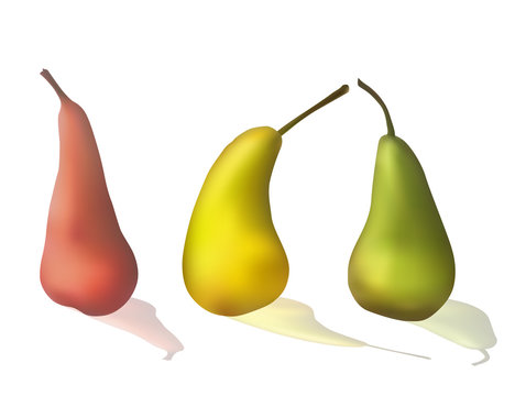 Set of colorful pears. Fresh fruit. Vector illustration. Dietary food