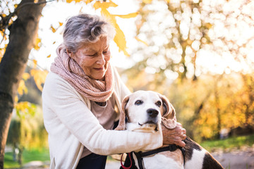 An elderly woman with dog on a walk in autumn nature.