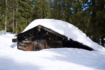 Hütte am Großen Arber, alte Berghütte aus Holz neben Skiloipe im Winter