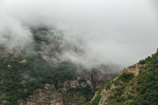 Ancient Hyrcania Forest, Mazandaran, Iran