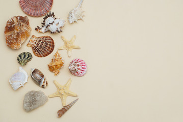 Sea Mix of Shells and Starfish, Stones. Vacation ans Summer Background