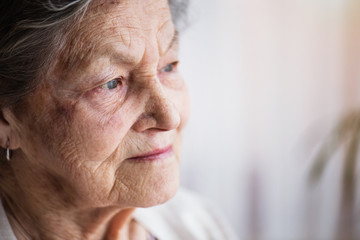 Portrait of a senior woman at home.