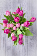 Pink tulips on a gray background. Top view, free space