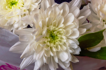 Beautiful bouquet of chrysanthemums.