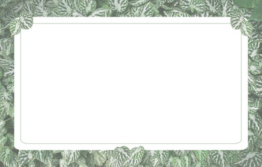 チュラルでエコなイメージのメッセージボード（ベコニアの葉）