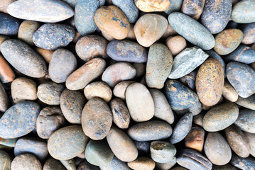 Sea stones round for background decoration of the garden walkway in house