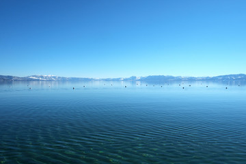 Lake Tahoe View