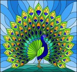 Naklejki  Illustration in stained glass style with colorful peacock on blue sky