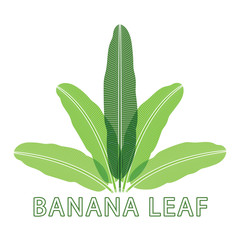Banana nature green leaf logo