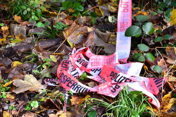 crime scene, police striped tape wrapped around trees in forest